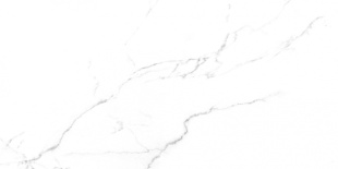 Керамогранит Laparet Discovery Blanco  белый мат. рект. (60х119,5) SG50002420R